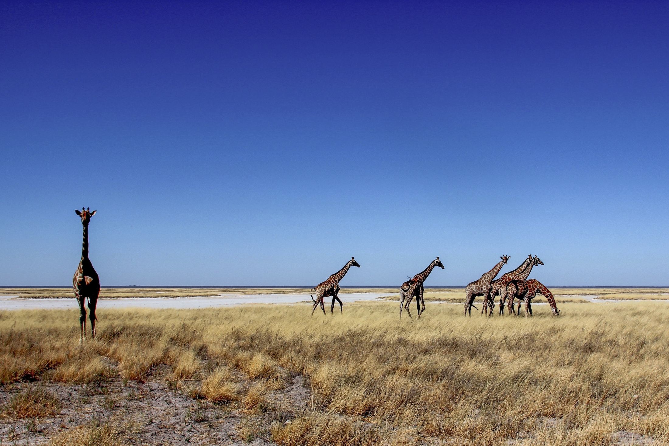 Maak een rondreis door een van de mooiste landen van Afrika