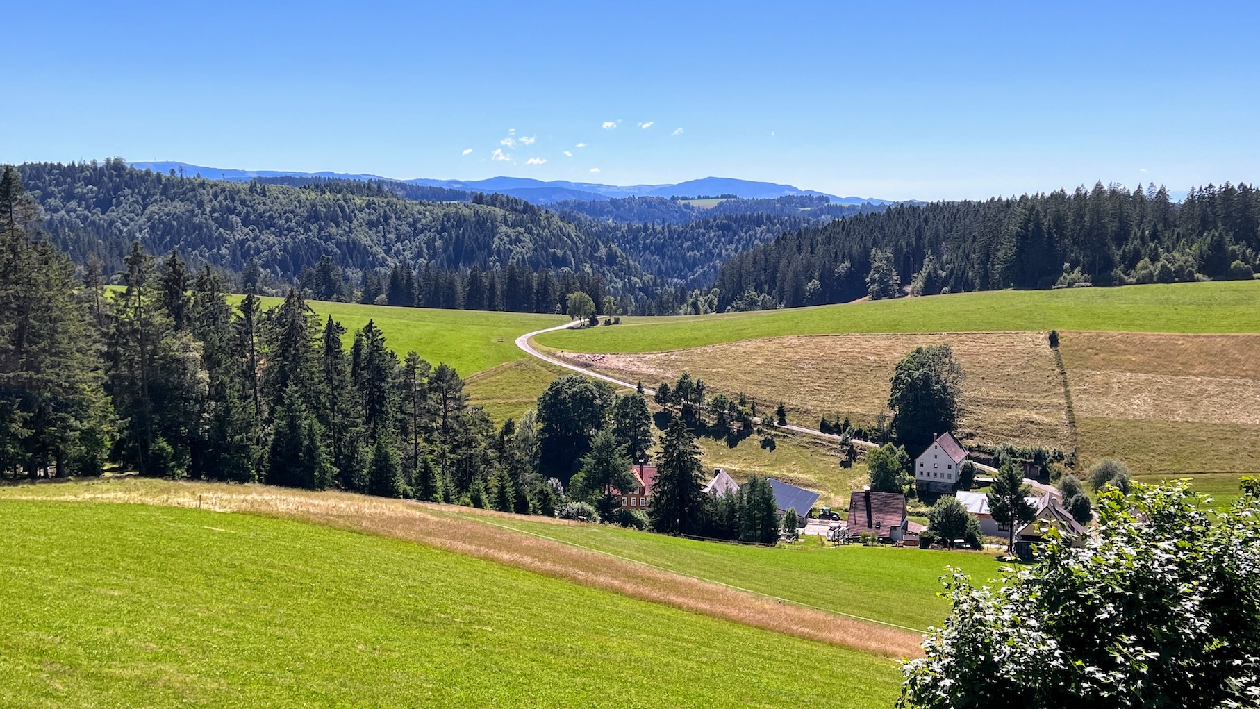 Panorama van het Zwarte Woud