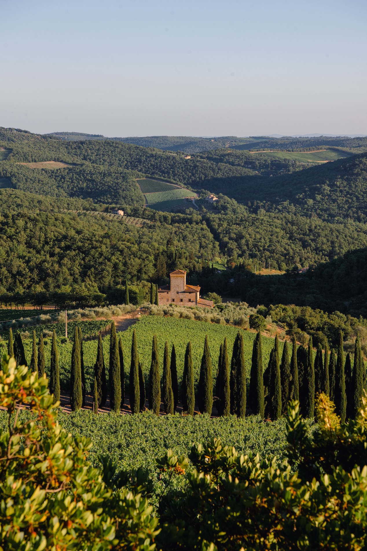 En zeker ook indrukwekkende natuur in het binnenland, zoals de heuvels in Toscane