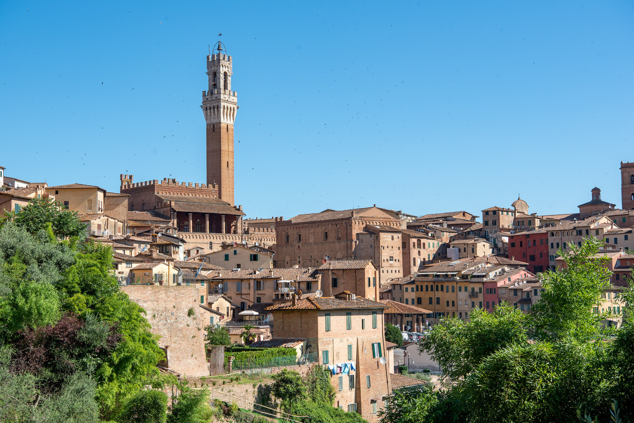 Siena is een van de mooiste stadjes van Toscane