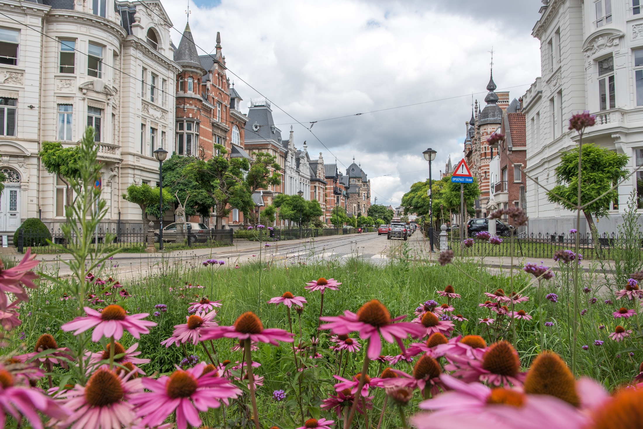 De mooiste straat van Antwerpen: Cogels Osylei