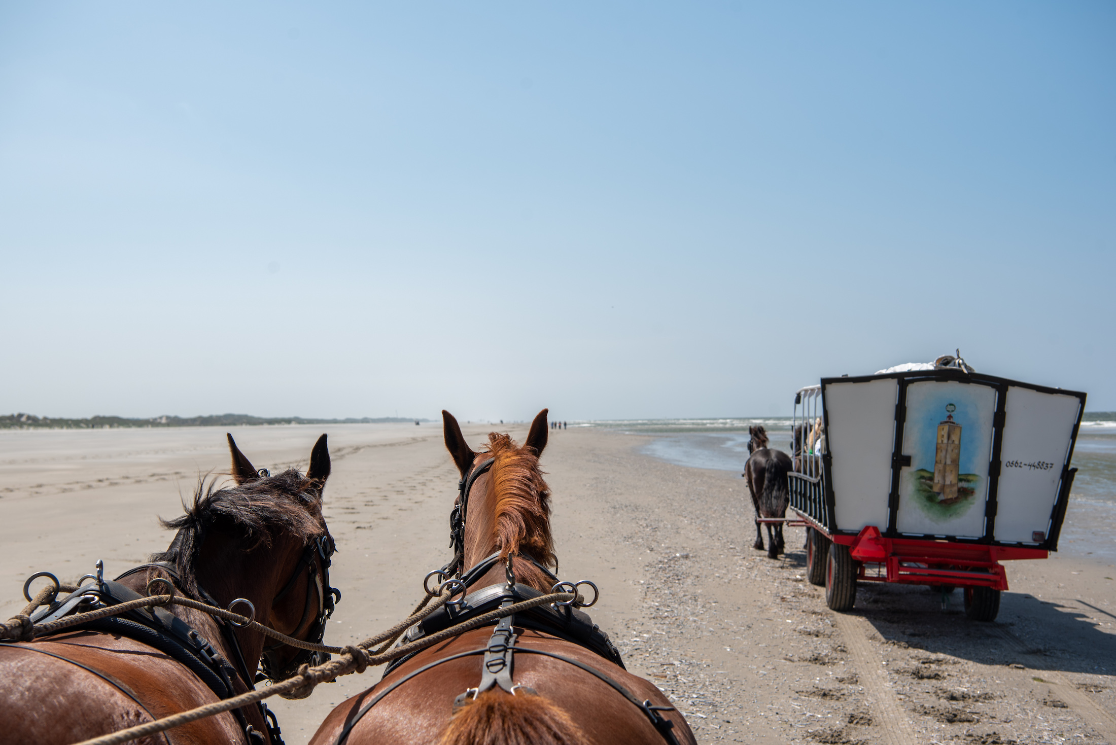 Hét hoogtepunt van de huifkartocht: de route over het strand