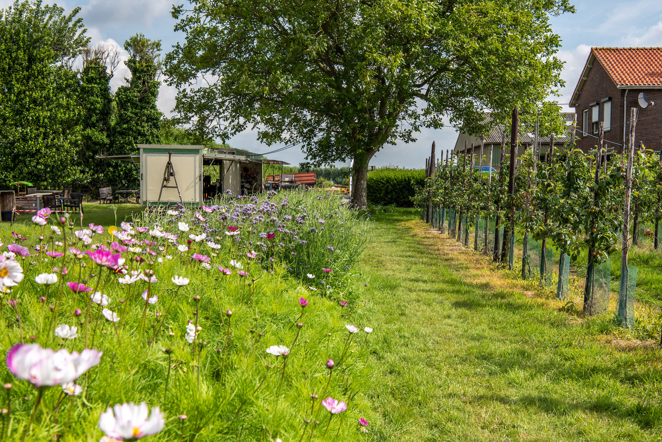 De prachtige pluktuin van familie Flikweert in Aardenburg