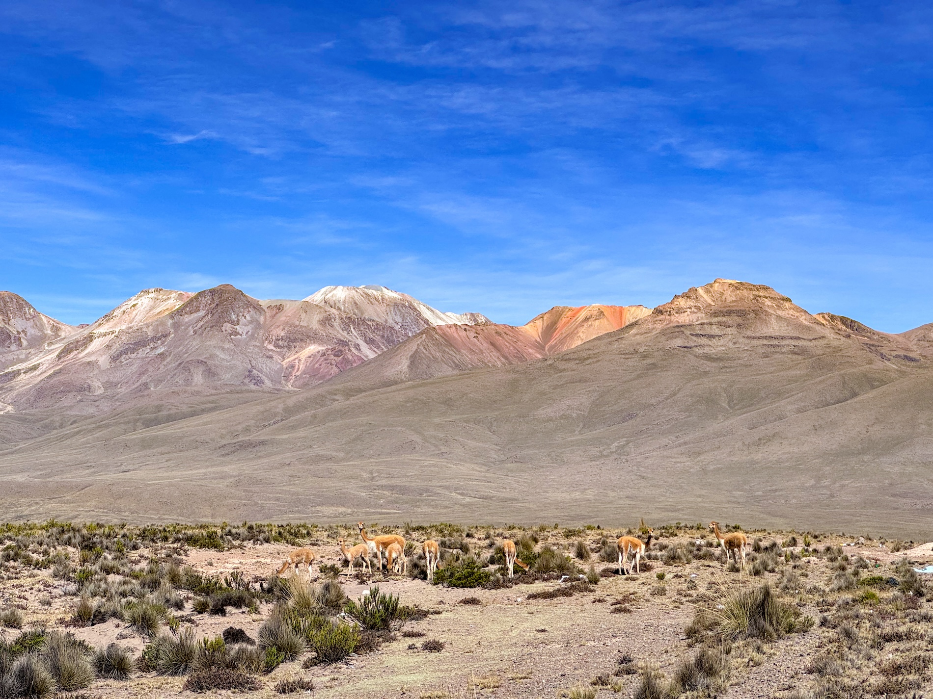 Onderweg naar Colca Canyon