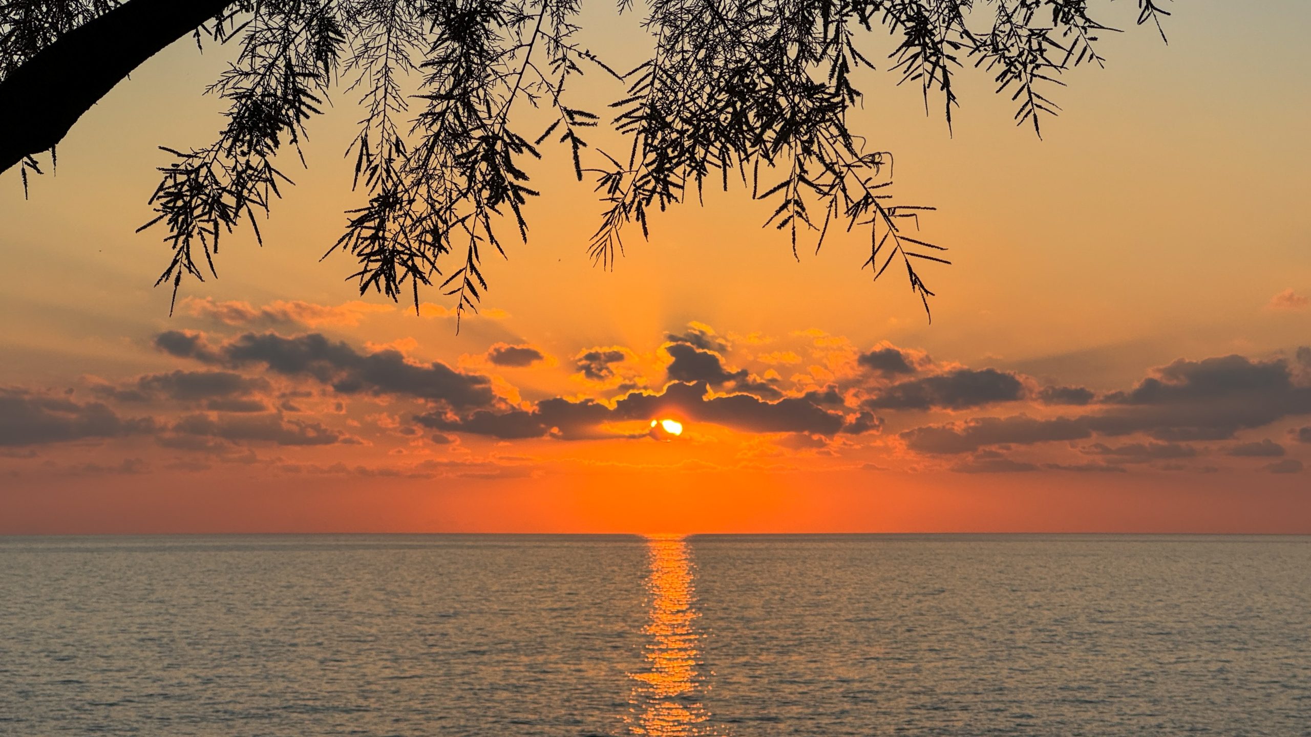 Zonsondergang bij Porto Roxa Beach. Een plaatje!