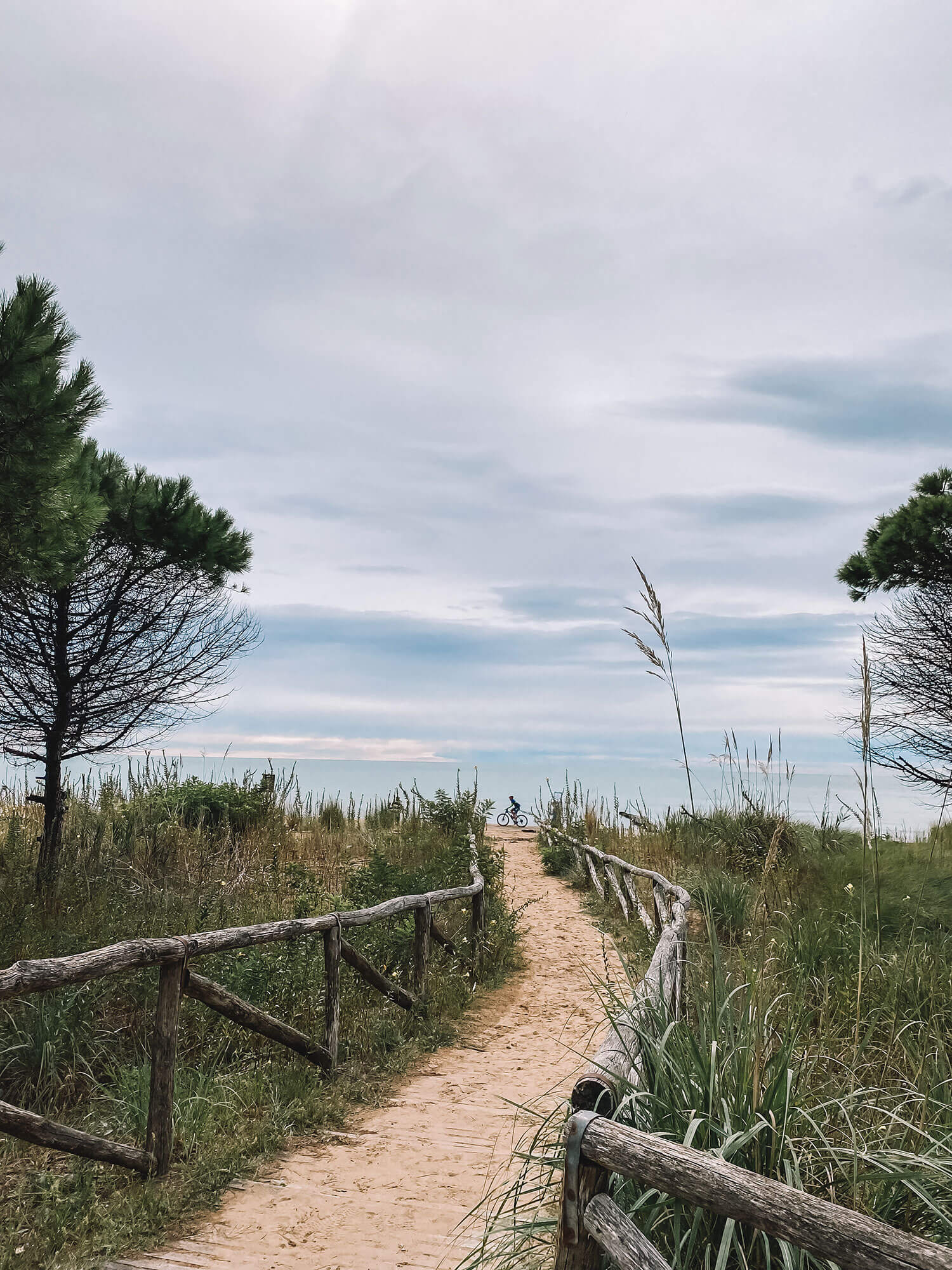 In de omgeving vind je naast stranden ook veel groene natuur zoals lagunes en dennenbossen.