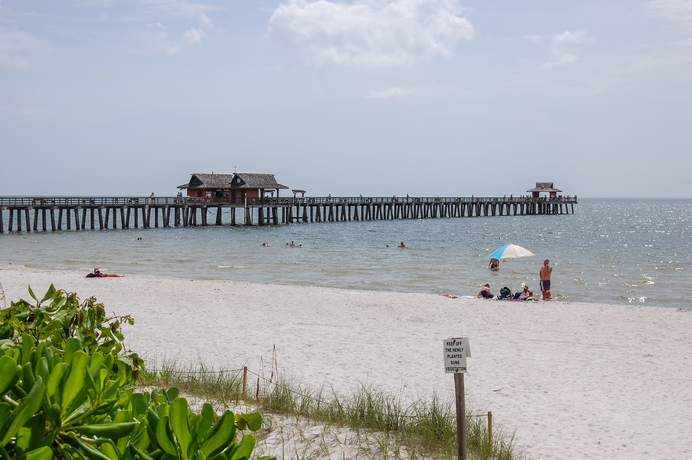 Dolfijnen spotten vanaf de pier van Naples