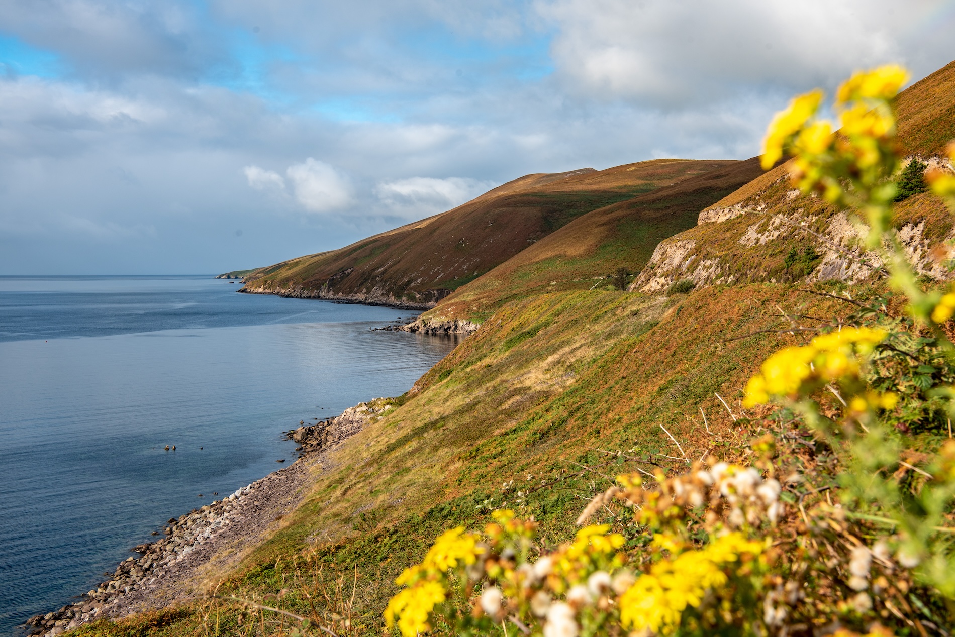 Zo mooi is de Ierse kust in Dingle