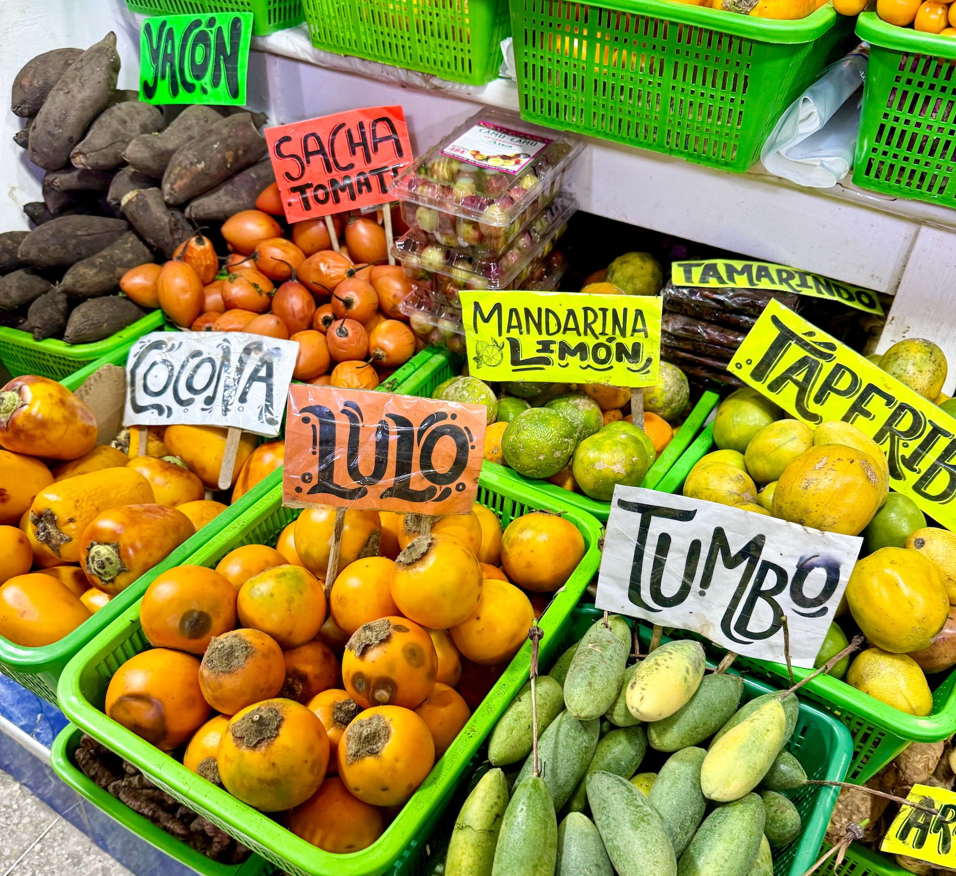 Fruit in alle kleuren van de regenboog