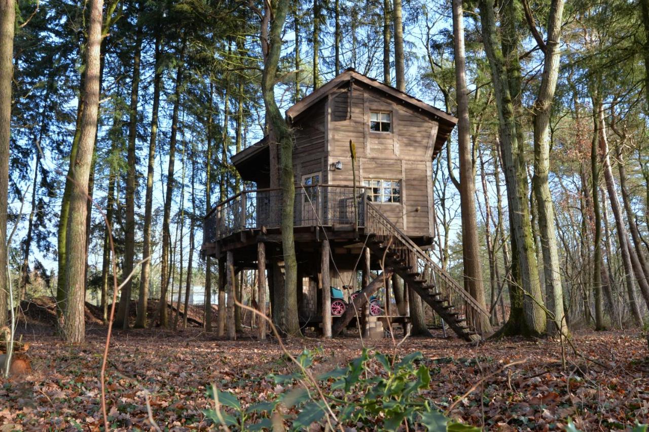 Ook in Drenthe kun je in een boomhut slapen