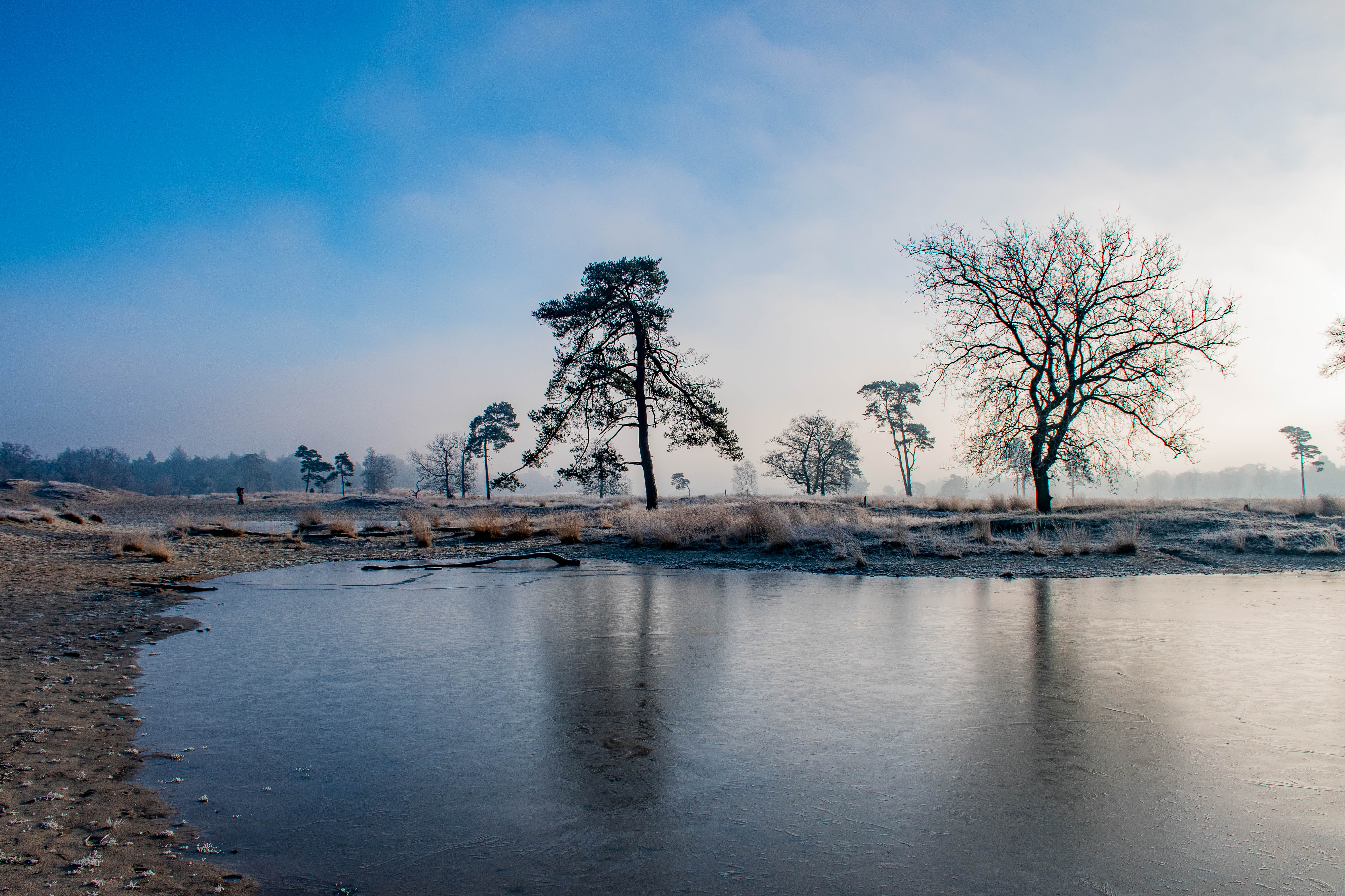 Met dit prachtige winterweer lijkt het wel of je even in een ander land bent