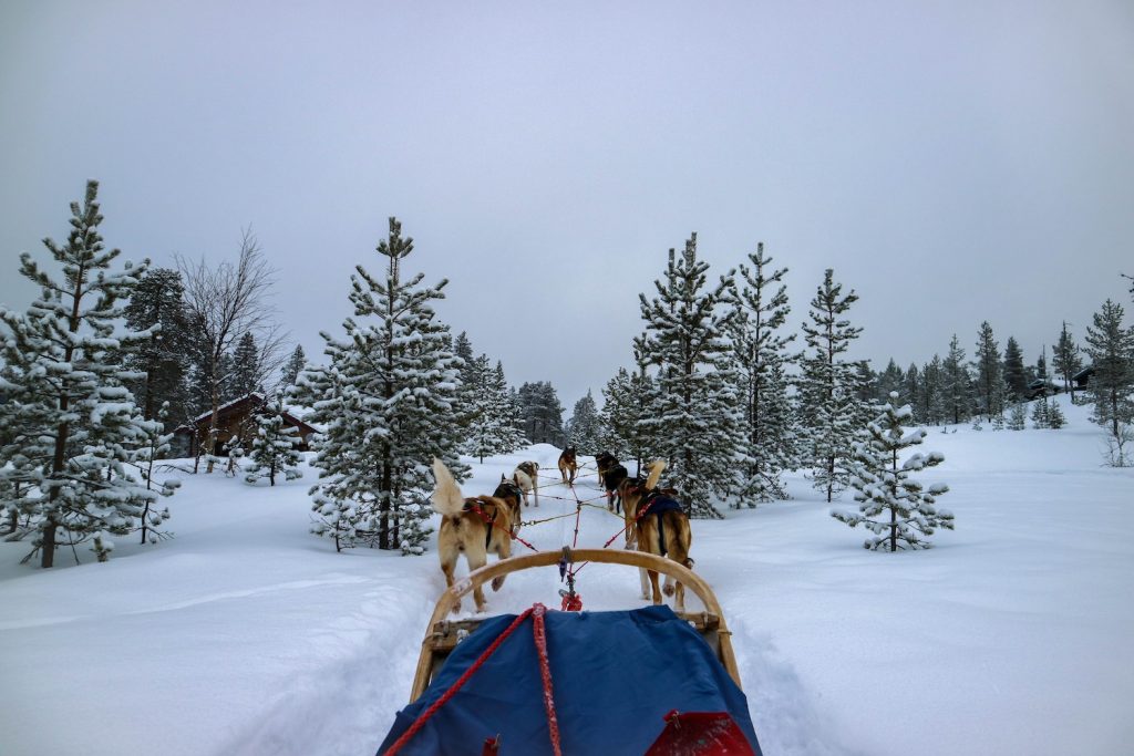 stoten huskytocht