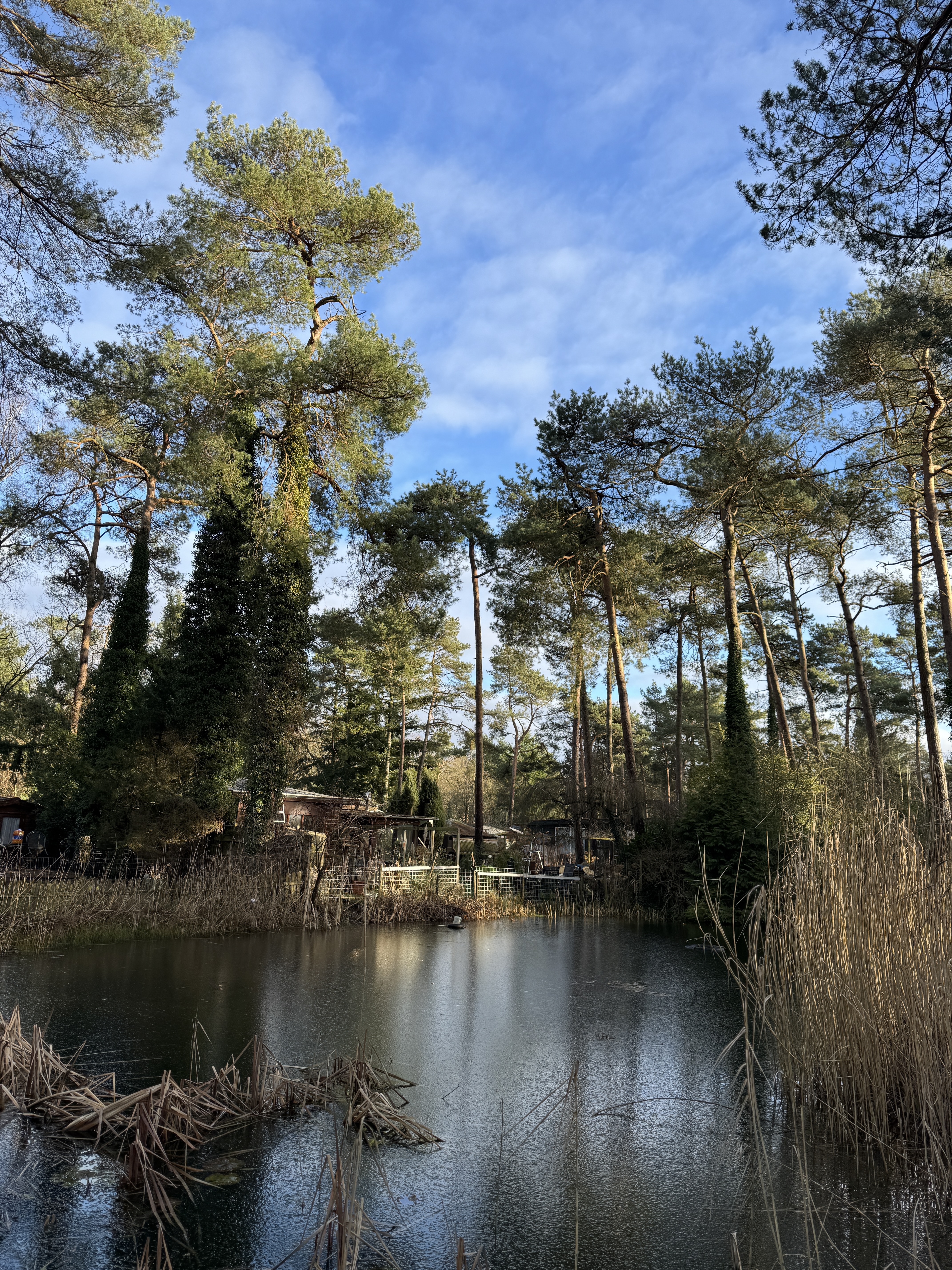 Veluwe huisje