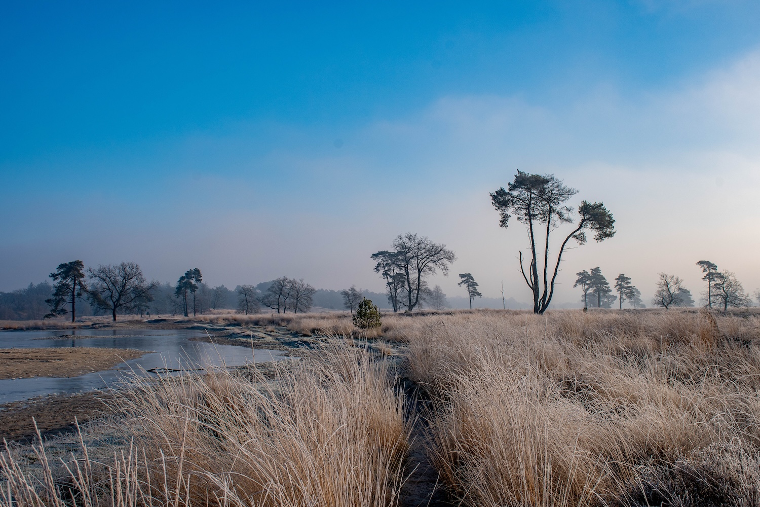 Dat direct naast de camping dit fantastische natuurpark ligt is een cadeautje