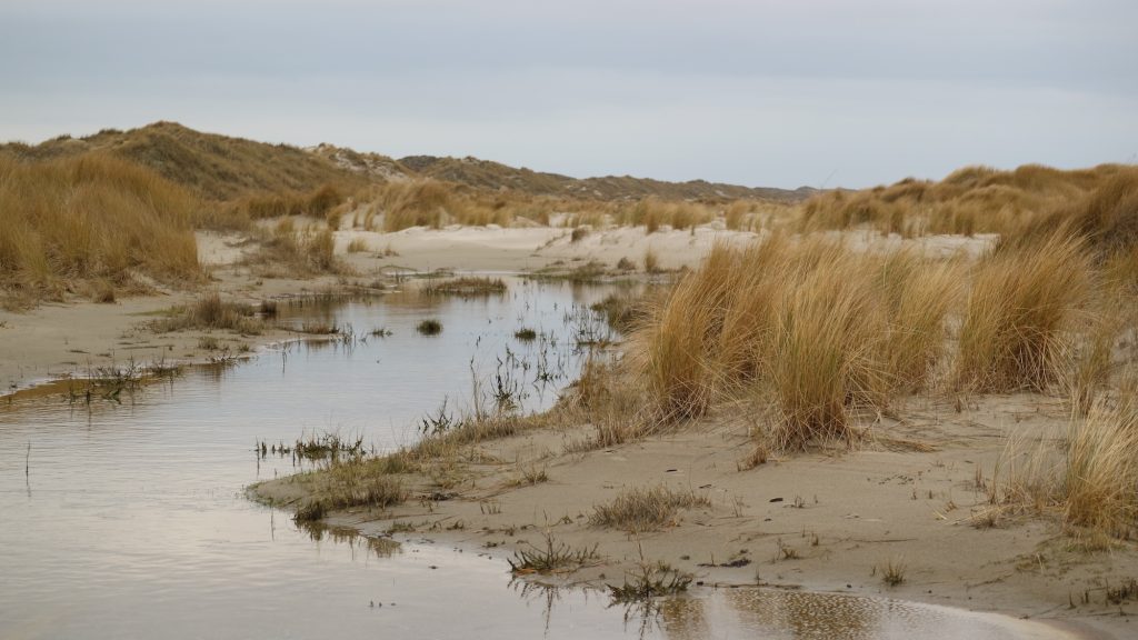 Al die natuurpracht, bijna helemaal voor jezelf.