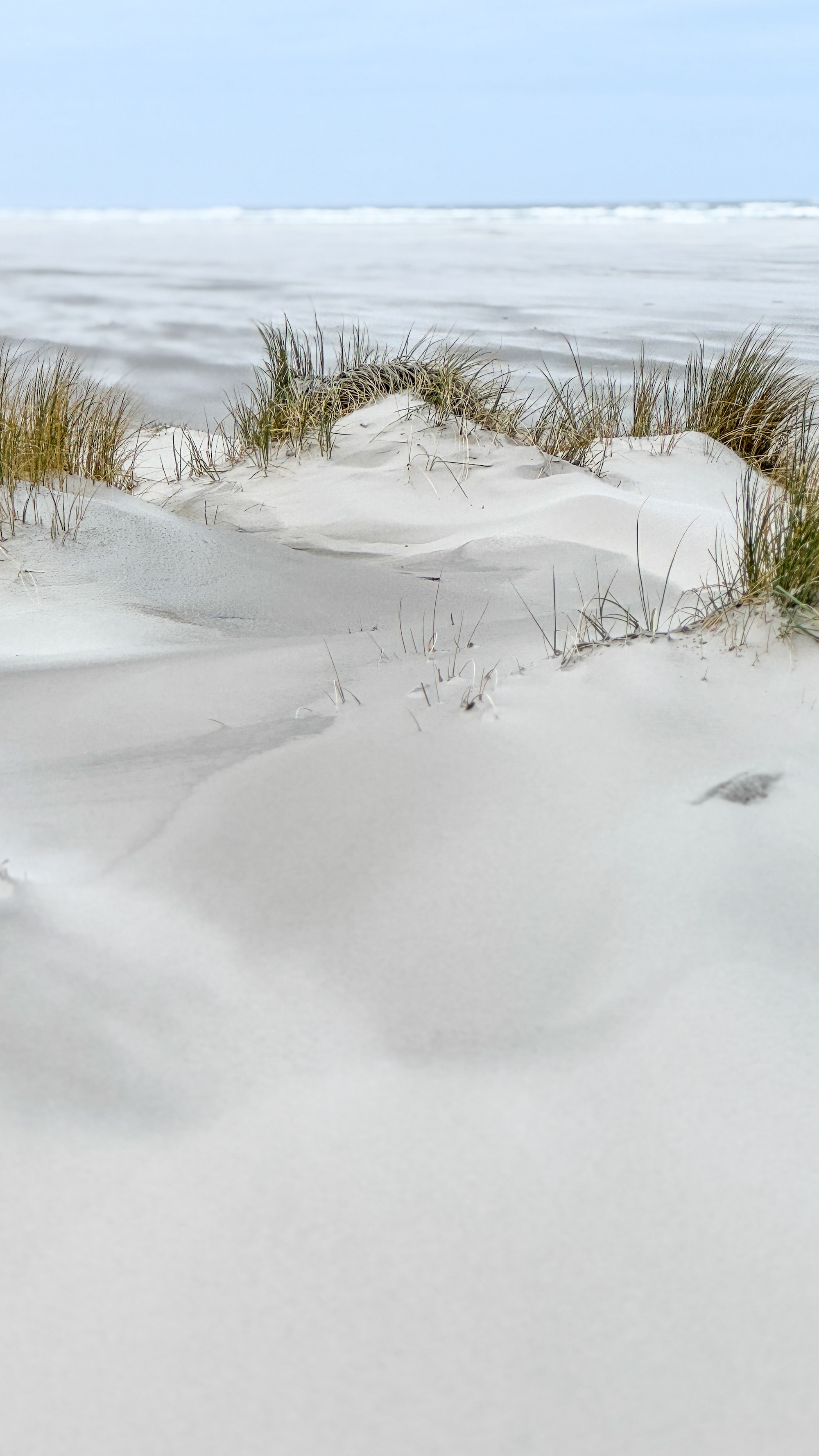 Het witte zandstrand van Terschelling is op z'n mooist zonder afval.