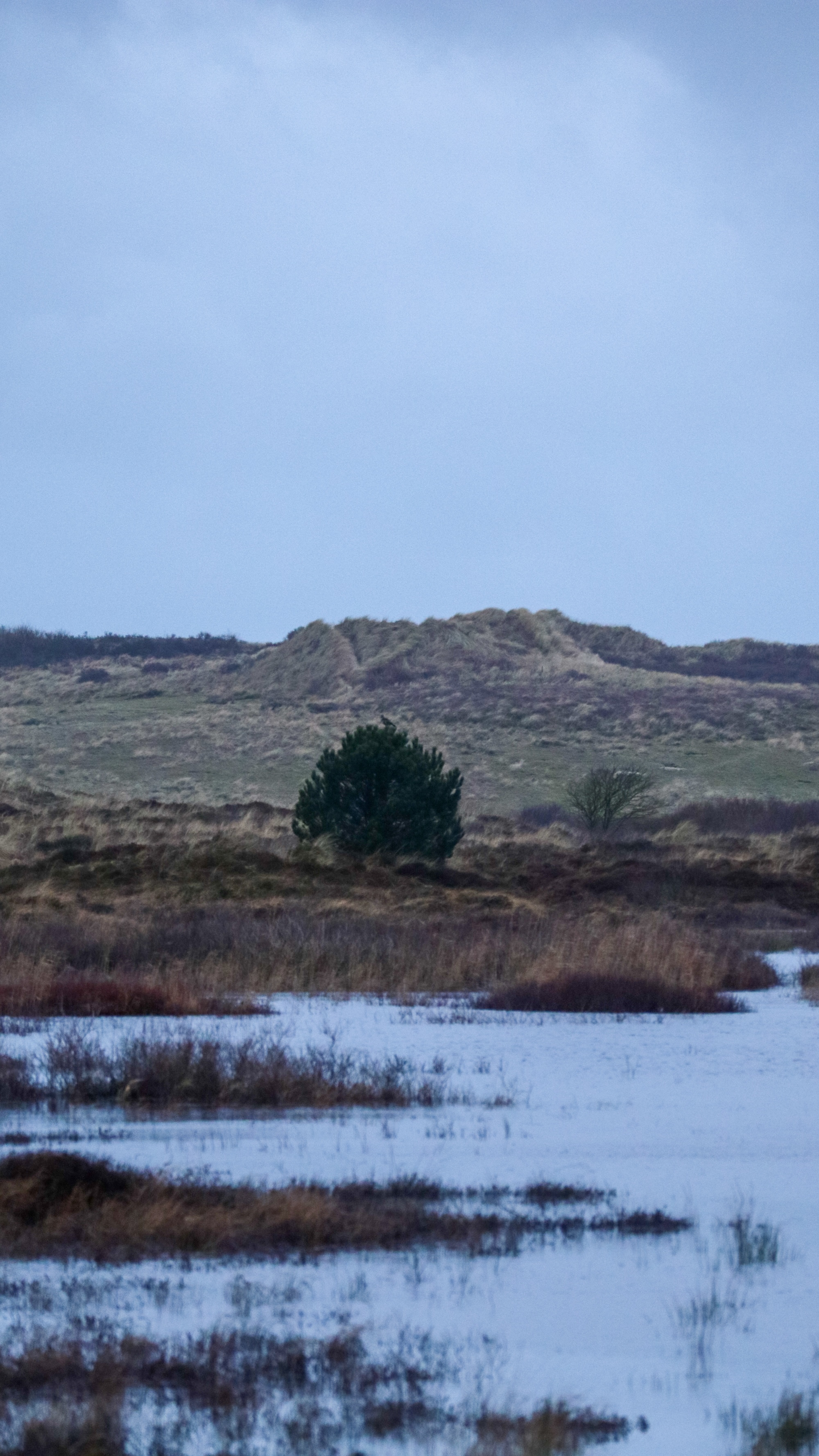 Doen: op ecosafari gaan om de rust en puurheid van het eiland te beleven.