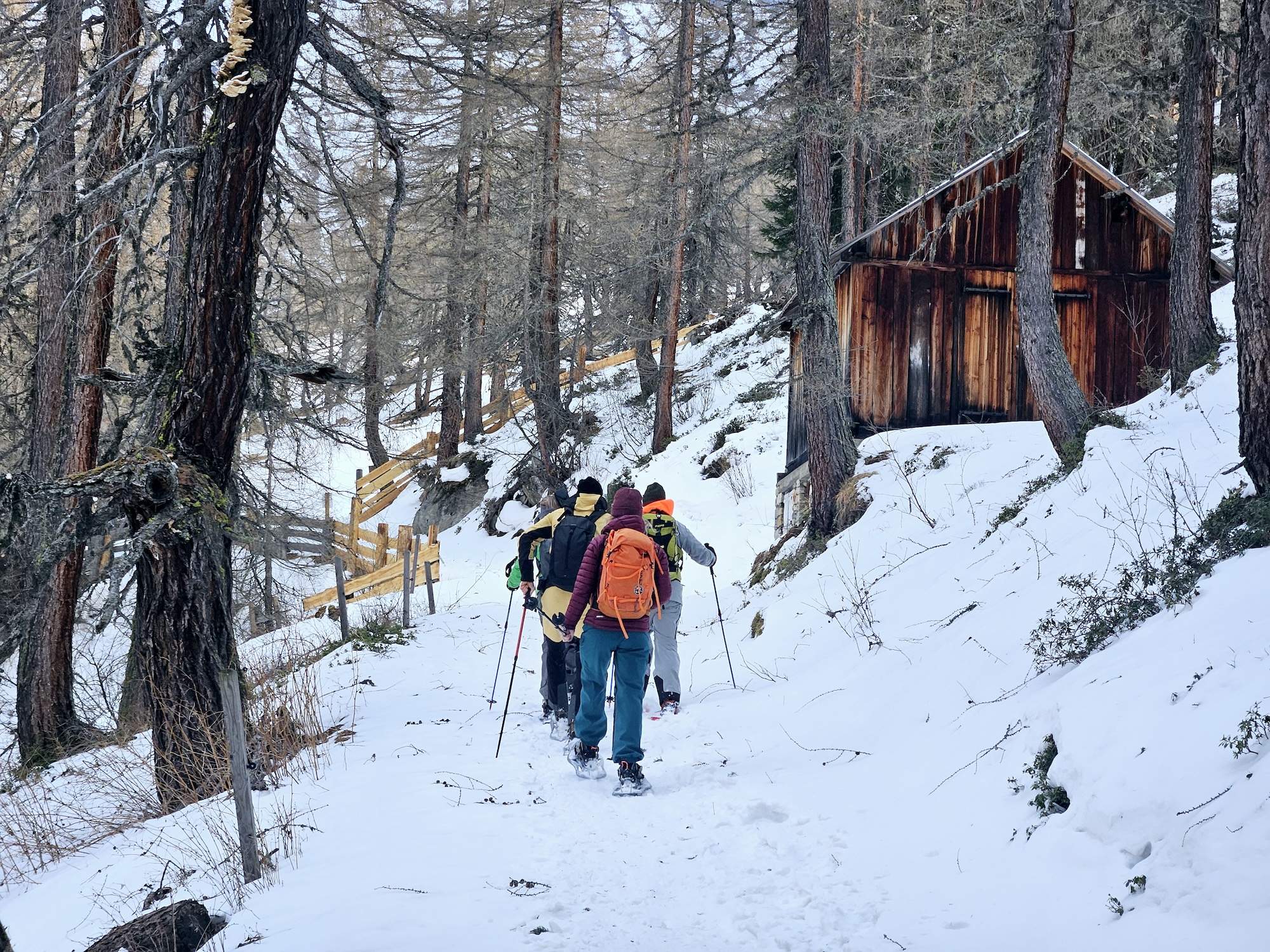 Sneeuwschoenwandelen door National Park Hohe Tauern: een paradijs voor natuurliefhebbers en outdoorfans.