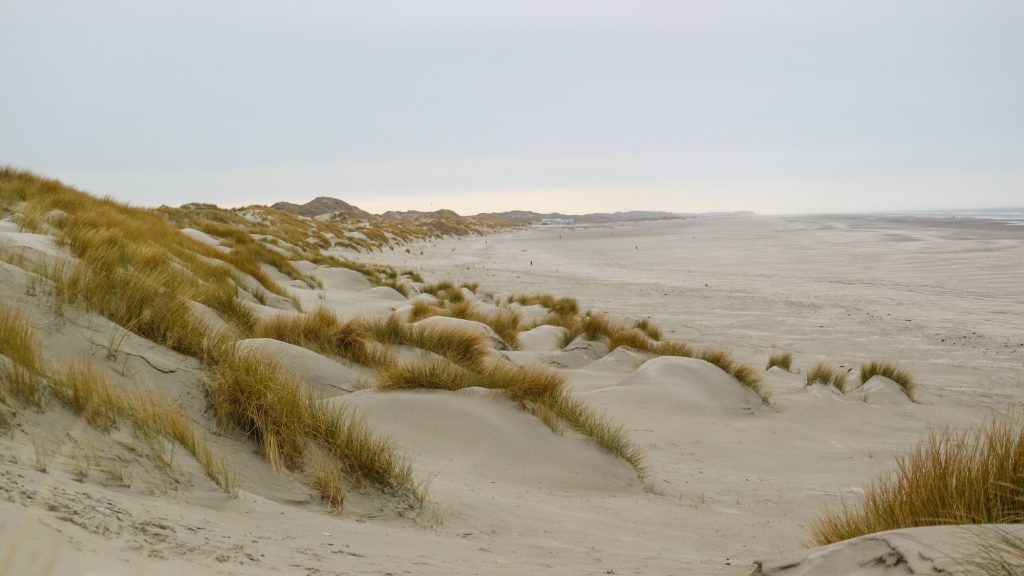 Terschelling in de winter bezoeken? Ja!