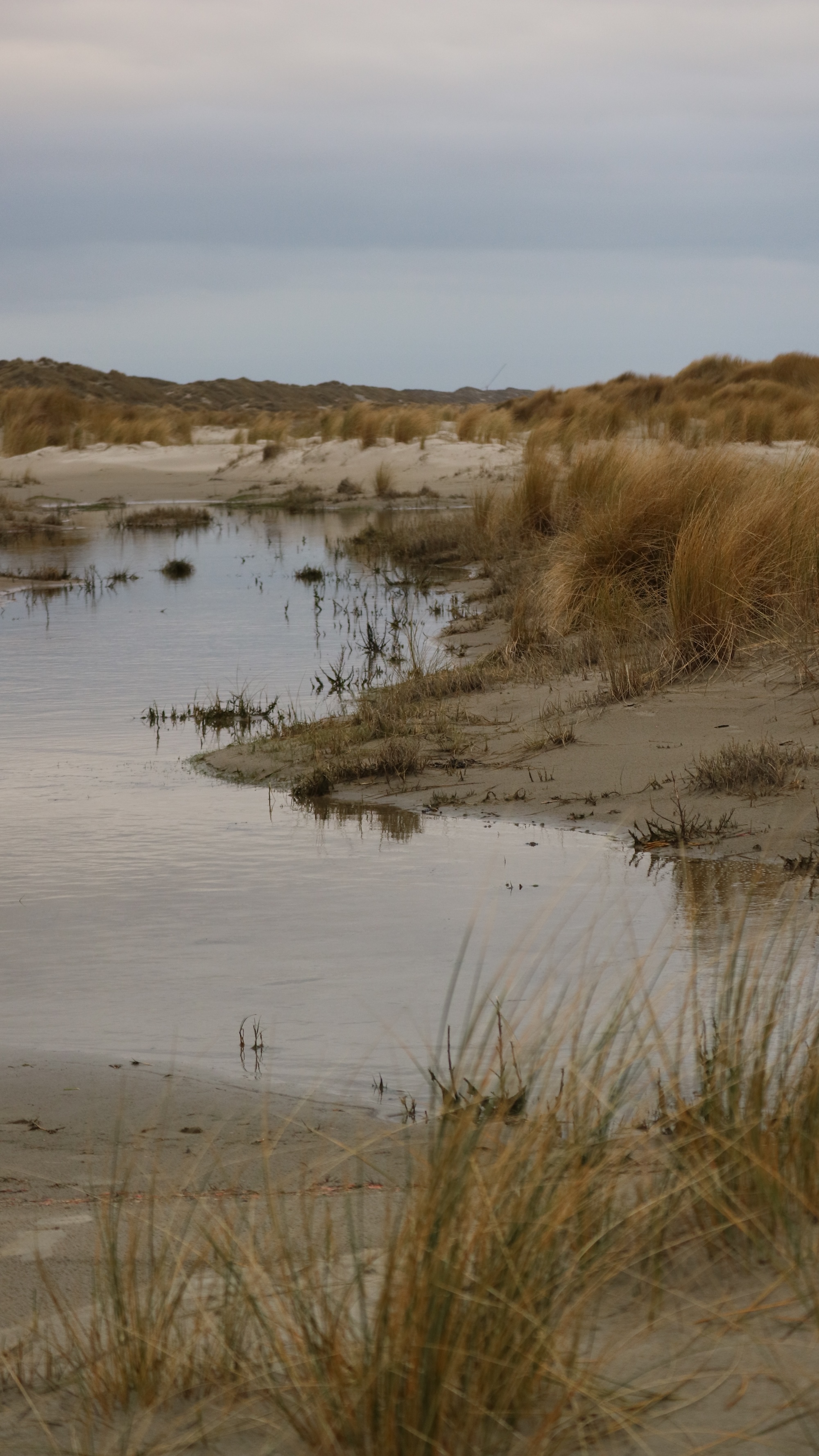 IJzige stilte en kou, serene rust: neem de tijd om dit in je op te nemen.