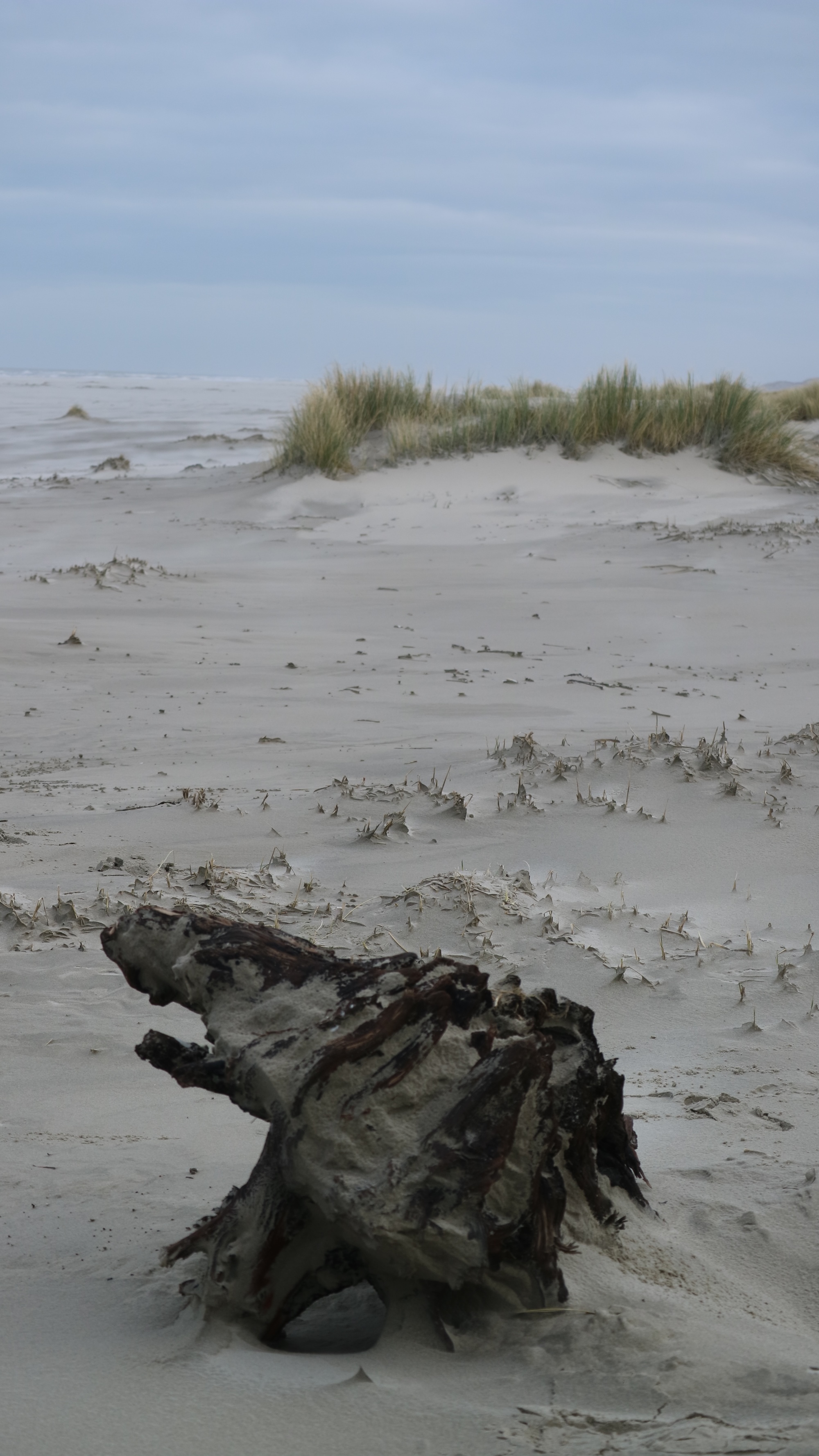 Stukken wrakhout spoelen dagelijks aan op de stranden van Terschelling.