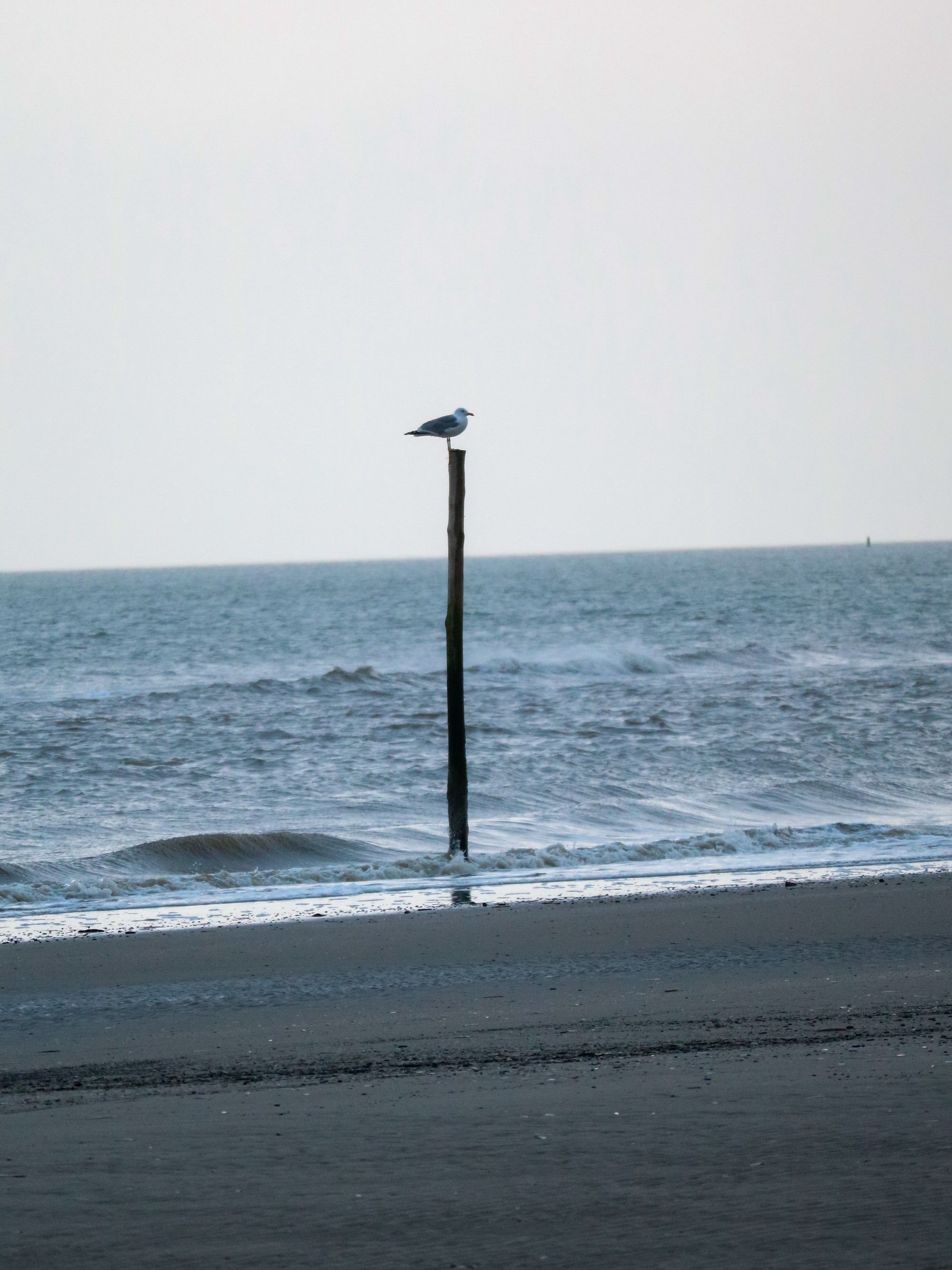 Heerlijk om over de brede stranden van Terschelling te wandelen.