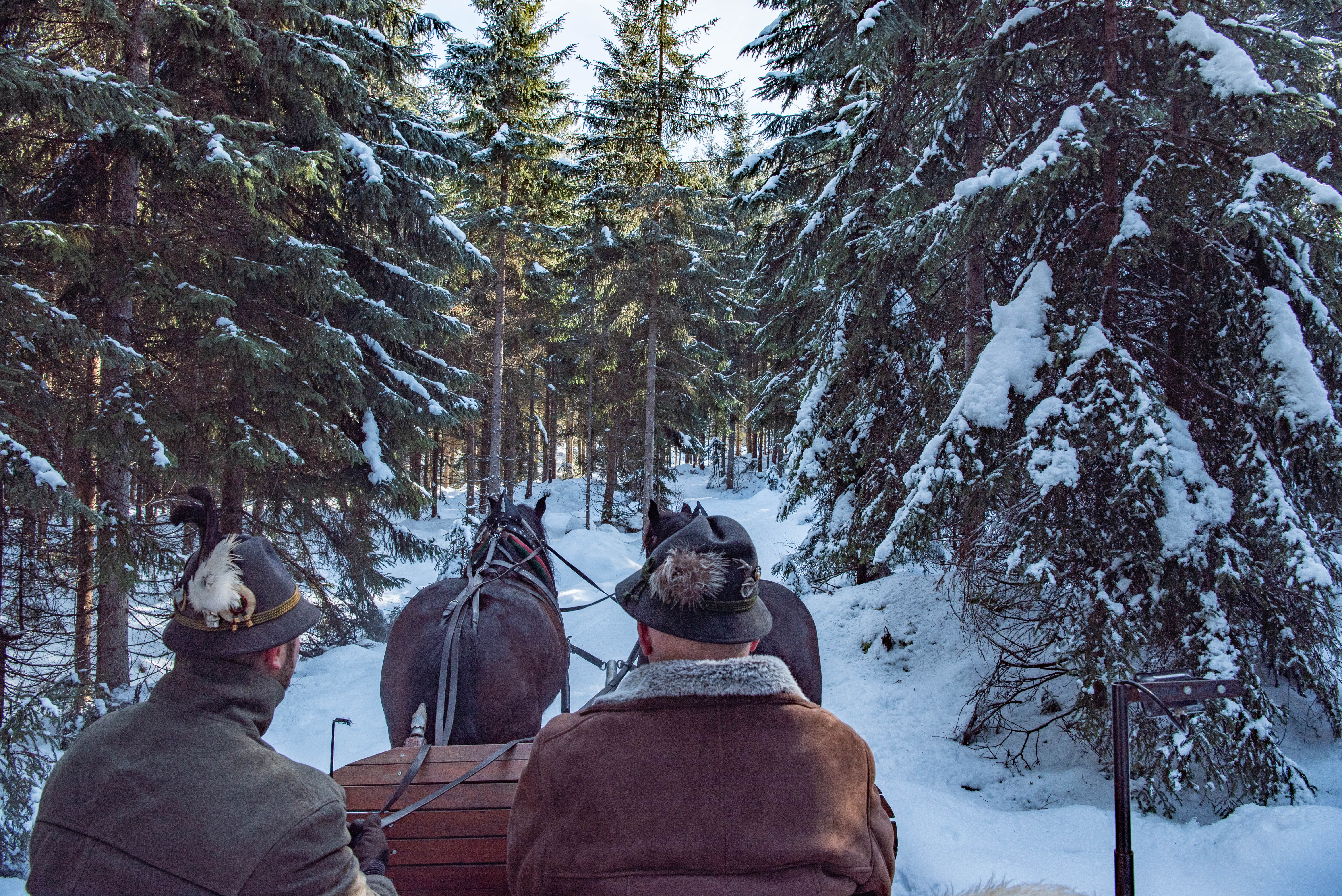 Arrensleetocht in Oostenrijk in de winter