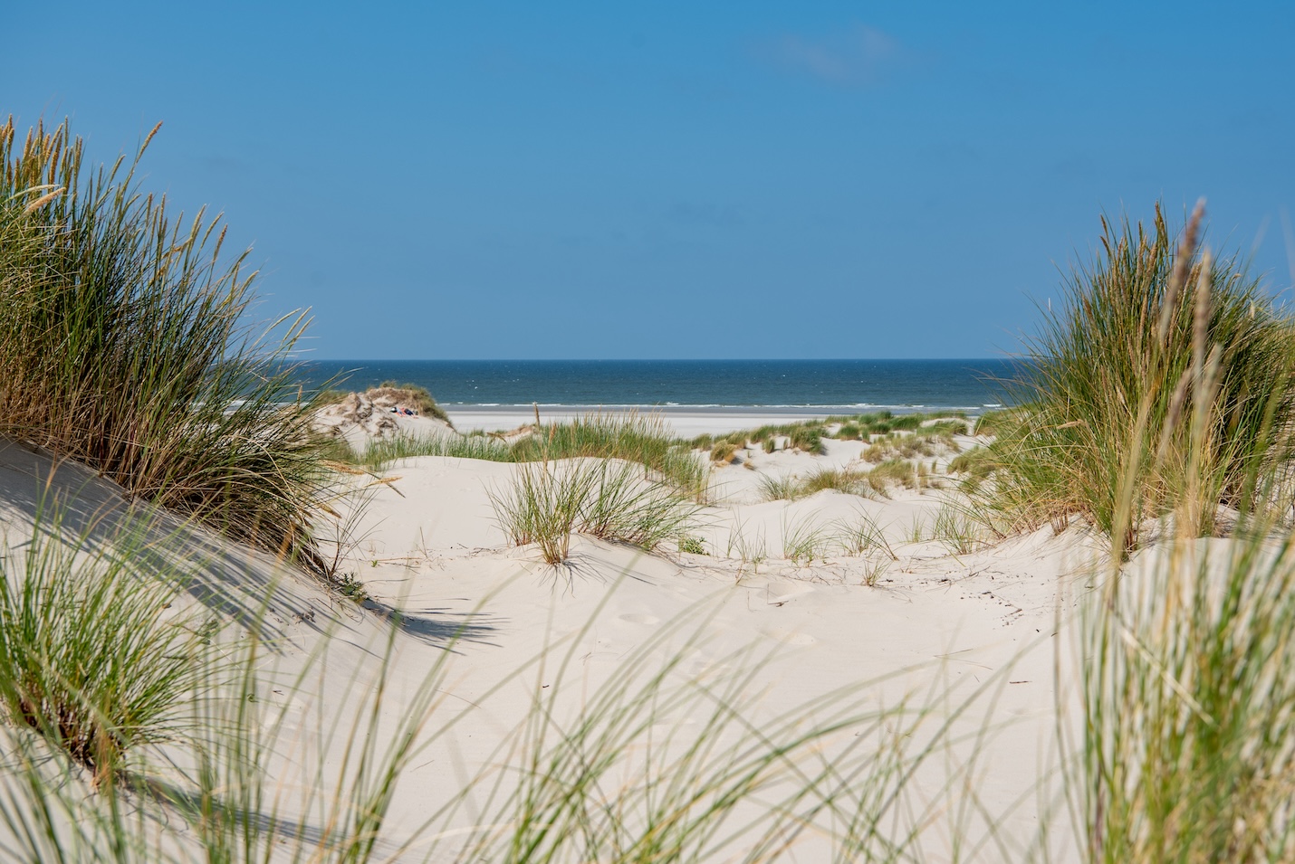 Eindeloze stranden op Terschelling