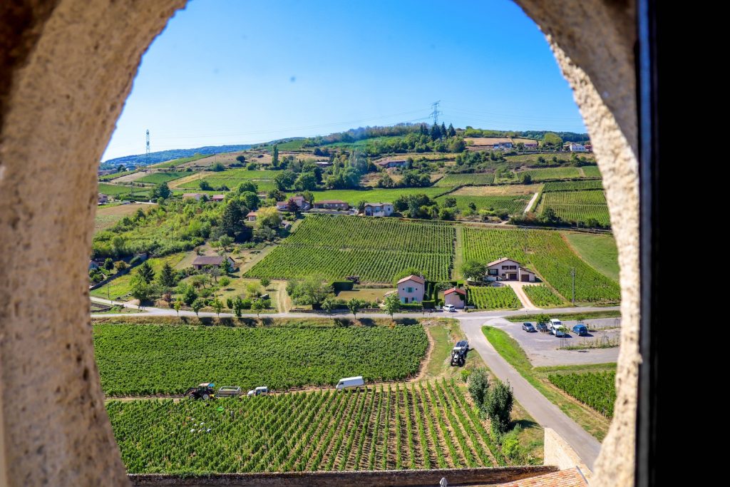 La Route des Grand Crus