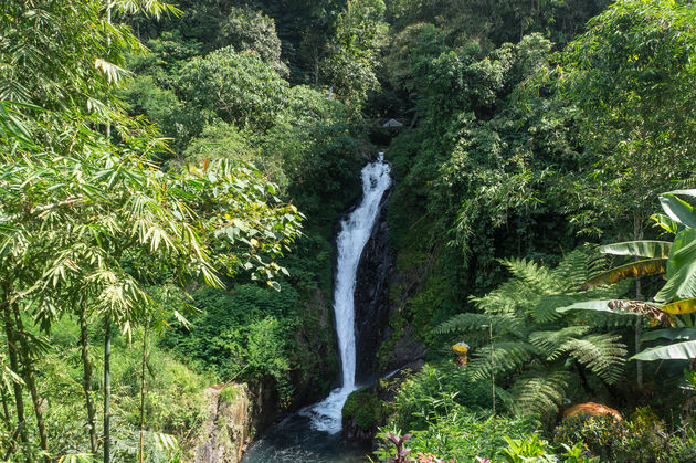 Gitgit is de hoogste waterval van Bali\nFoto: Suzanne Plumette - Adobe Stock